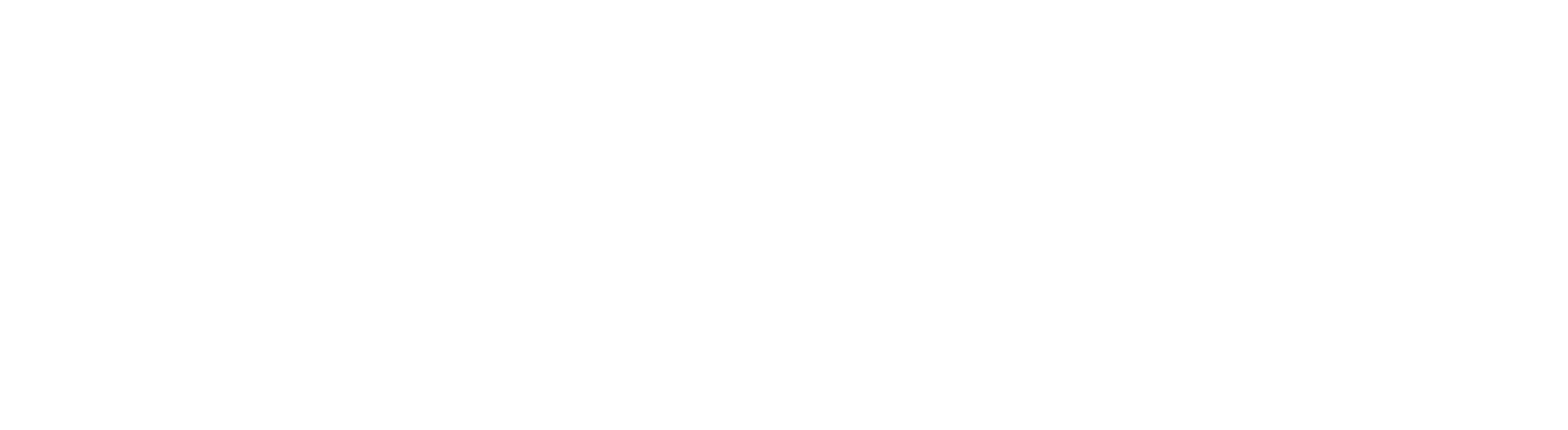 Visa Authority